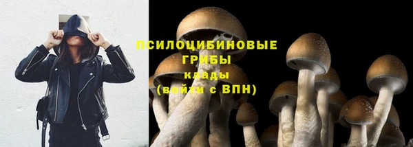 mdma Ельня