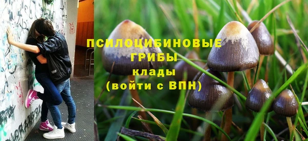 mdma Ельня