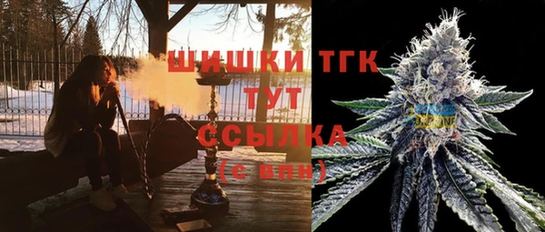 трава Гатчина