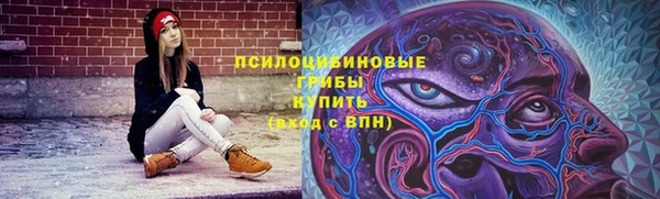 молекула духа Заволжье