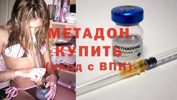 трава Гатчина