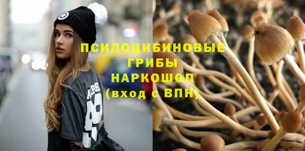 молекула духа Заволжье