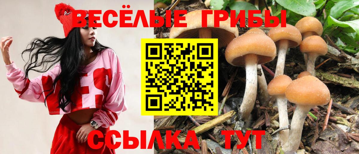 Избербаш  Псилоцибиновые грибы мухоморы  Галлюциногенные грибы Magic Shrooms  Вход с VPN 